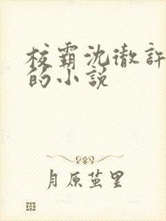 校霸沈彻许知易的小说