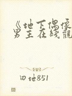 《地下偶像》双男主在线观看