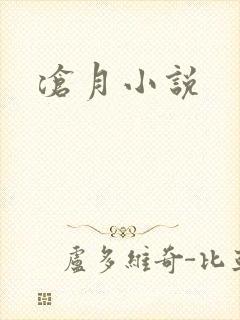 沧月小说