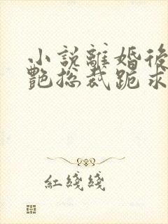 小说离婚后,冷艳总裁跪求复婚完整版