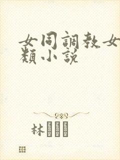 女同调教女总裁类小说封面