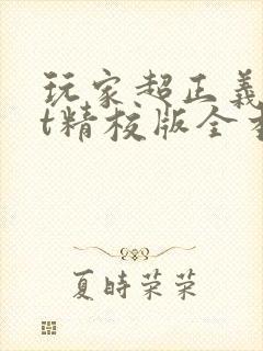 玩家超正义txt精校版全本