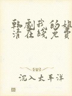 韩剧我的姐姐高清在线免费观看封面