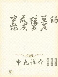 穿成校草的纯1炮灰男友封面