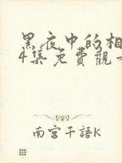黑夜中的相拥24集免费观看