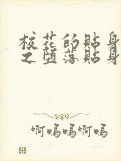 校花的贴身高手之堕落贴身校花封面