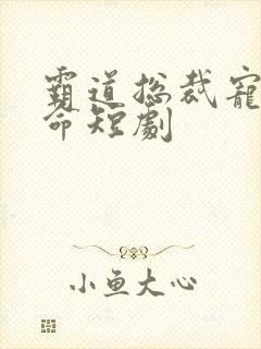 霸道总裁宠妻如命短剧