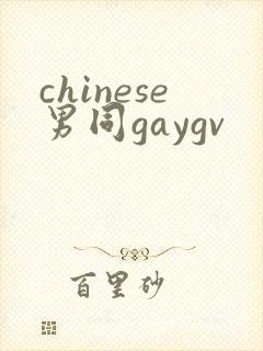 chinese男同gaygv