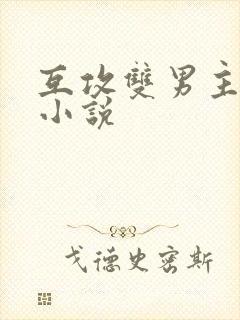 互攻双男主星际小说