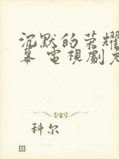 沉默的荣耀带字幕 电视剧免费观看