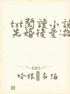 txt阅读小说先婚后爱:总裁老公狂宠妻封面