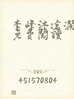 李峰沐沧澜小说免费阅读封面