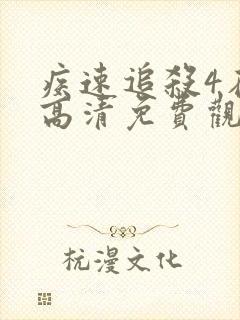 疾速追杀4在线高清免费观看1080