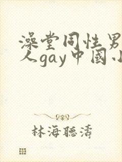 澡堂同性男同军人gay中国小说封面