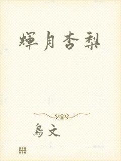 辉月杏梨