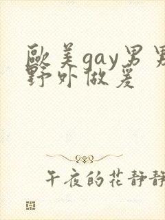 欧美gay男男野外做爰