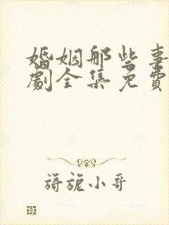 婚姻那些事电视剧全集免费观看完整版