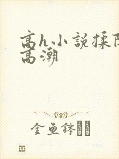 高h小说揉阴蒂高潮