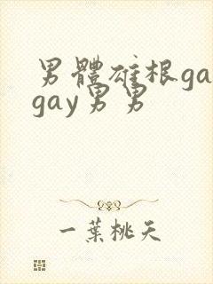 男体雄根gaygay男男
