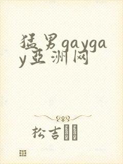 猛男gaygay亚洲网