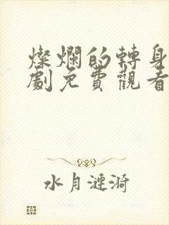灿烂的转身电视剧免费观看全集