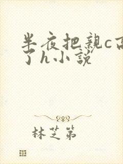 半夜把亲c高潮了h小说