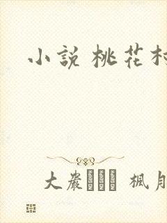 小说 桃花村
