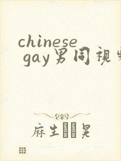 chinese gay男同视频