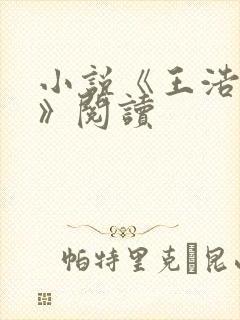 小说《王浩李洁》阅读
