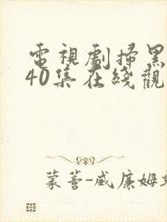 电视剧扫黑风暴40集在线观看免费