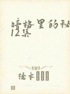 暗格里的秘密第12集封面
