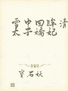 雪中回眸清穿之太子娇妃