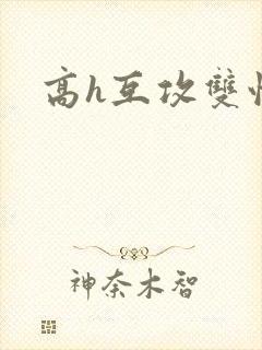 高h互攻双性封面