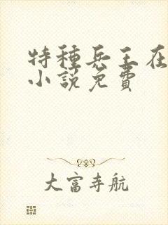 特种兵王在山村小说免费