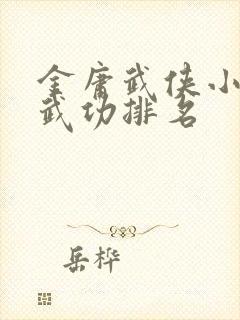 金庸武侠小说中武功排名封面