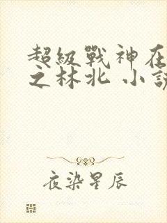 超级战神在都市之林北 小说