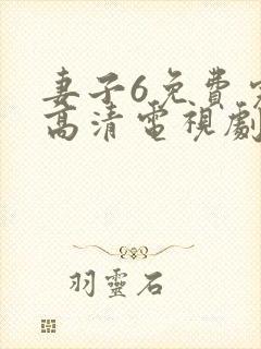 妻子6免费完整高清电视剧在线看