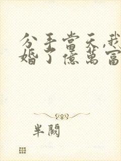 分手当天,我闪婚了亿万富豪免费看封面