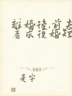 离婚后,前夫哭着求复婚短剧免费观看