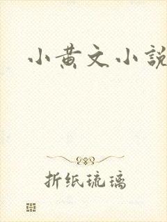 小黄文小说封面