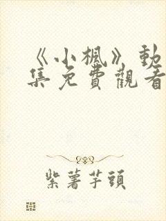 《小枫》动漫全集免费观看高清封面