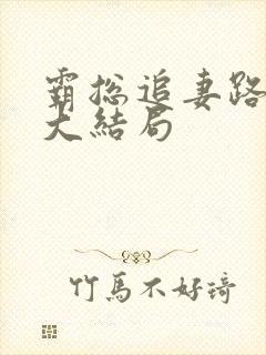 霸总追妻路漫漫大结局