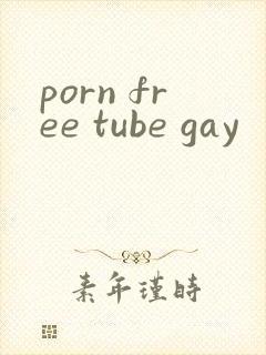 porn free tube gay封面