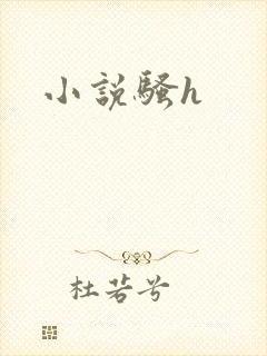 小说骚h