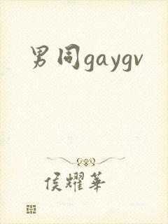 男同gaygv封面
