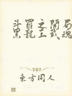 斗罗之开局觉醒黑龙王武魂