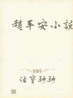 赵平安小说主角