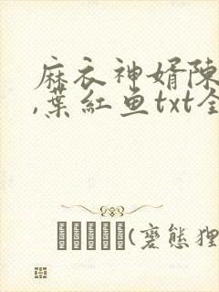 麻衣神婿陈黄皮,叶红鱼txt全文下载封面