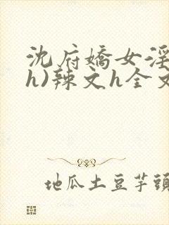 沈府娇女淫史(h)辣文h全文