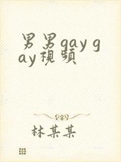 男男gay gay视频